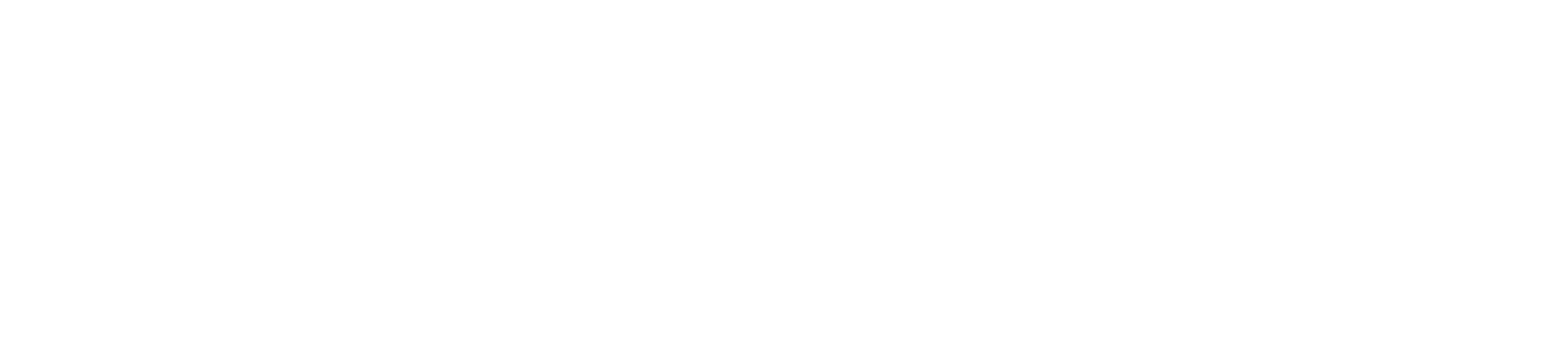 DEN STORE HISTORIE I DET STØRRE BILLEDE